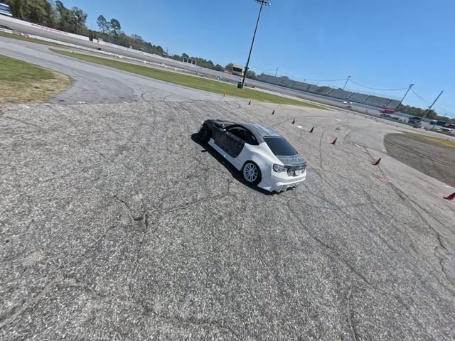 GreyAndWhiteScion